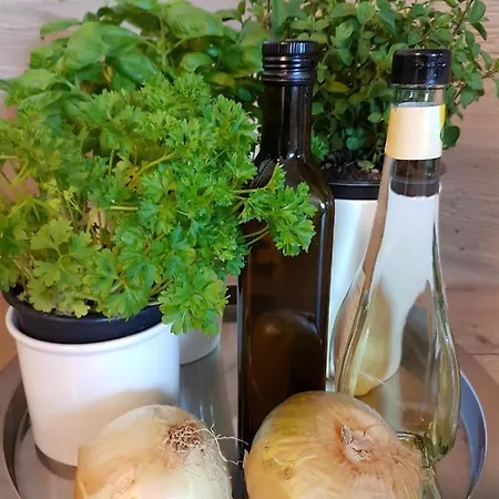 An Der Kleinen Schreinerei Apartmán