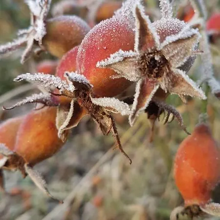 アパート An Der Kleinen Schreinerei Hallschlag