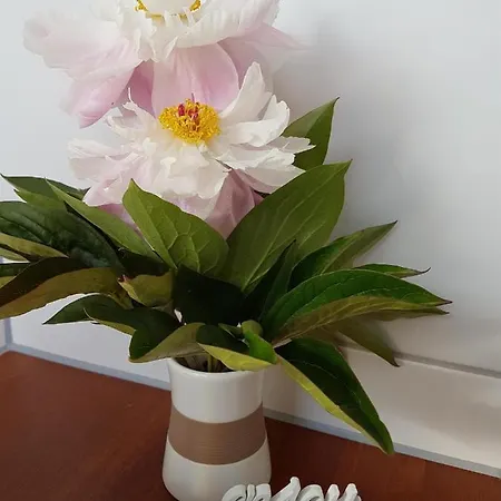 An Der Kleinen Schreinerei Apartmán *