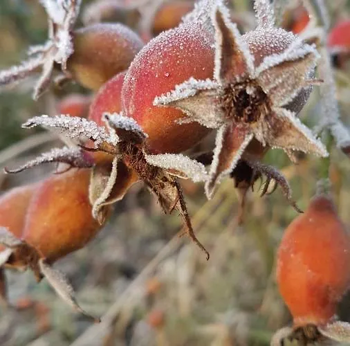 Apartamento An Der Kleinen Schreinerei Hallschlag