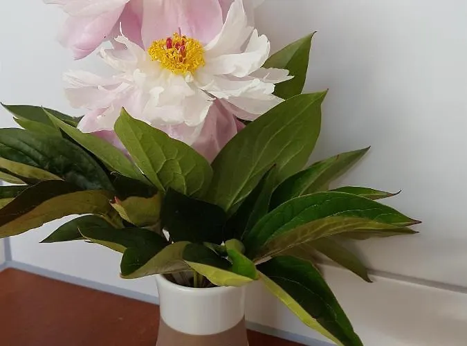 An Der Kleinen Schreinerei Apartamento *